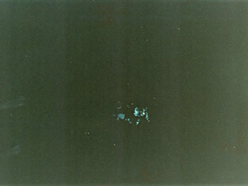 Ο ναυτοδίοπος Μπάμπης